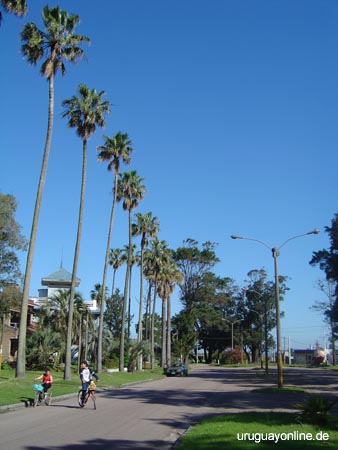 Atlantida004