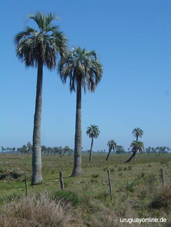 DerWegistdasZiel092