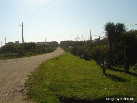La-Paloma063