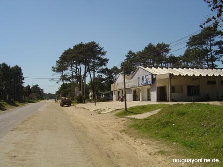 La-Paloma073