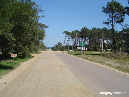 La-Paloma074