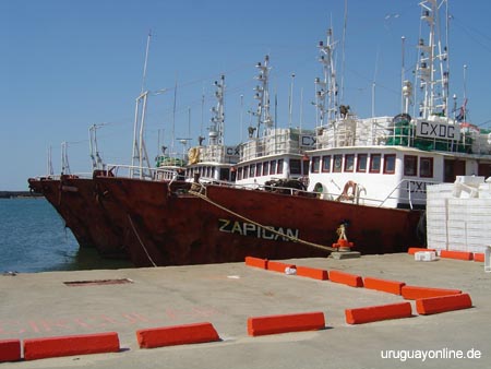 La-Paloma076