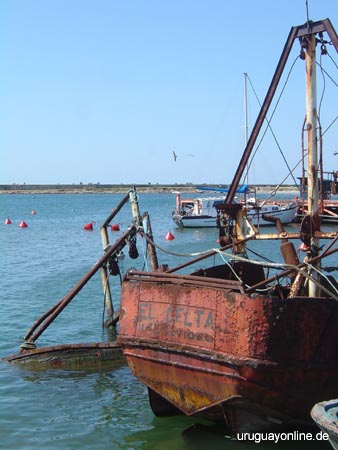 La-Paloma078