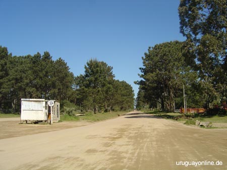 Pinamar002