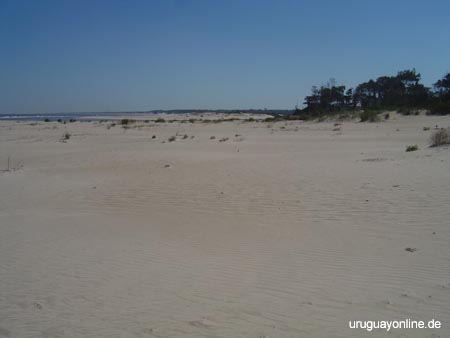 Pinamar004