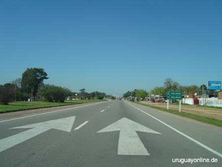 Salinas002
