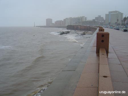 Montevideo046