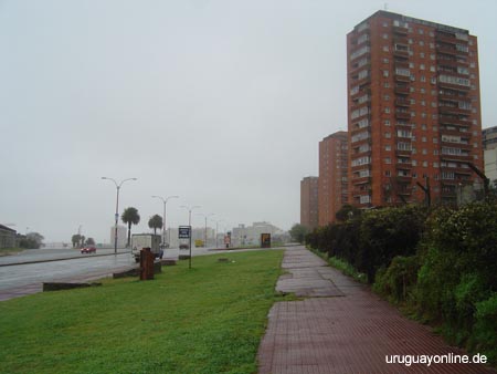 Montevideo083