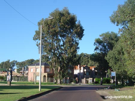 Montevideo093