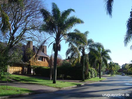 Montevideo094