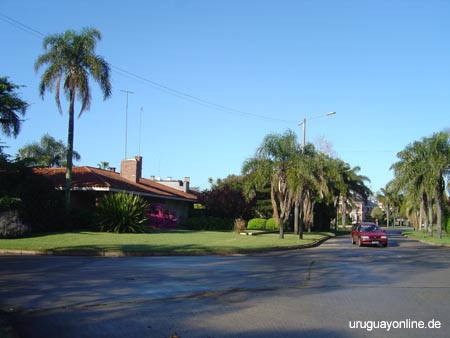 Montevideo095