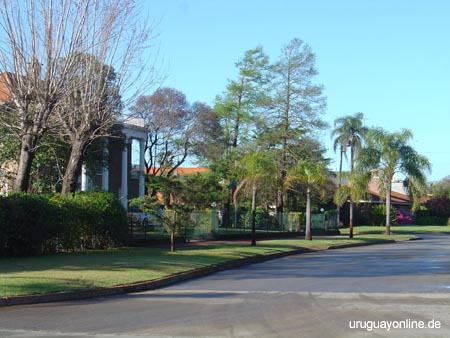 Montevideo096