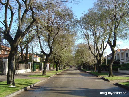 Montevideo104