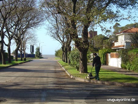 Montevideo105