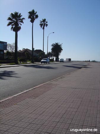 Montevideo111
