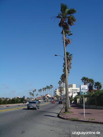 Montevideo114