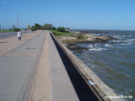 Montevideo127
