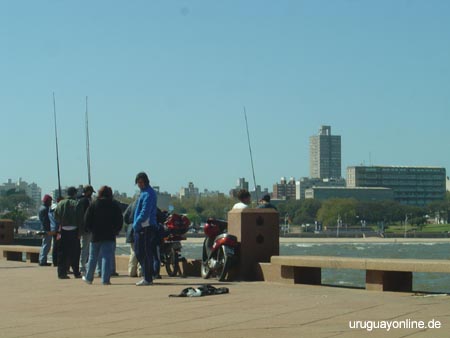 Montevideo148
