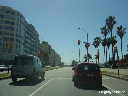 Montevideo153
