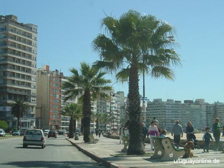 Montevideo155