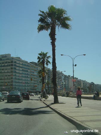 Montevideo156