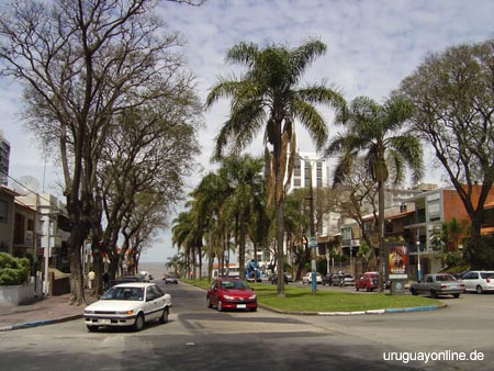 Montevideo158