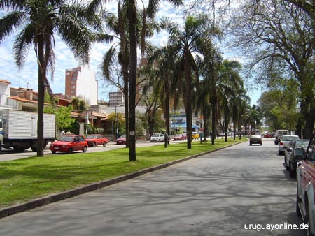 Montevideo159