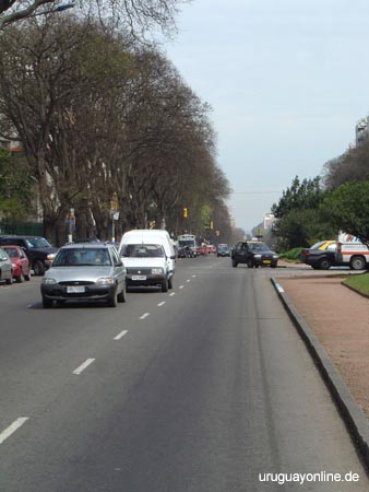 Montevideo191