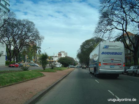 Montevideo195