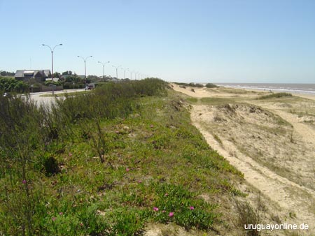 Montevideo208