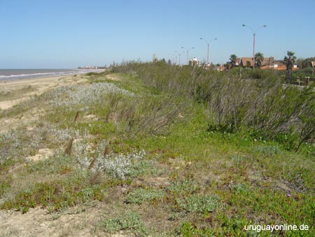 Montevideo209