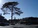 Montevideo107