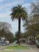 Montevideo163