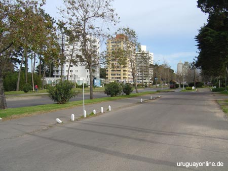Punta-del-Este079