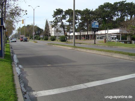 Punta-del-Este080
